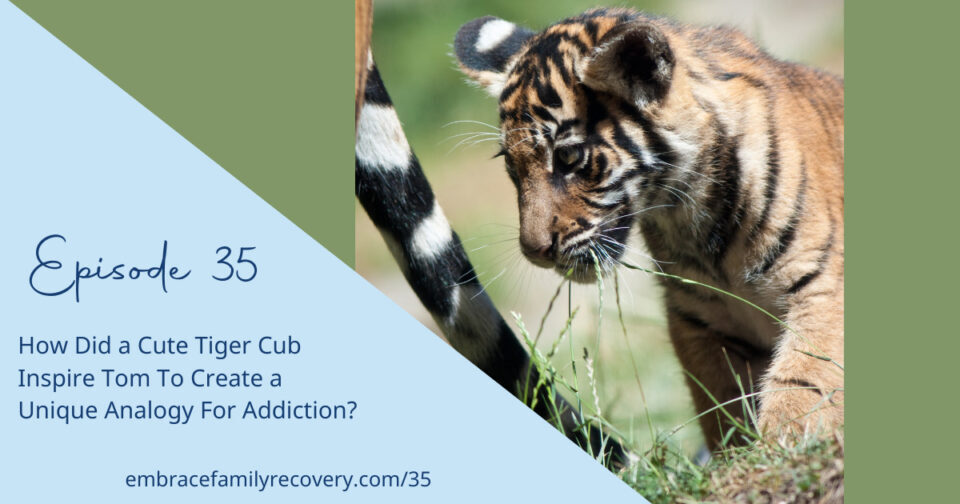 Ep 35 - How Did a Cute Tiger Cub Inspire Tom To Create a Unique Analogy For Addiction?