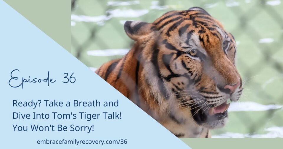 Ep 36 - Ready? Take a Breath and Dive Into Tom's Tiger Talk! You Won't Be Sorry!